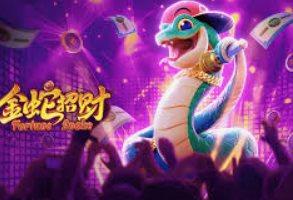 星空综合app电脑免费版