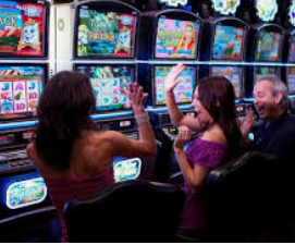 星空综合app免费版