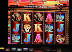 星空综合app免费版