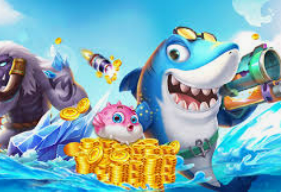 星空综合app客户端