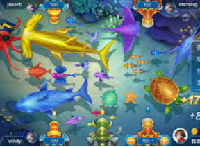 星空综合app2024最新版