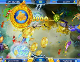 星空综合app最新版