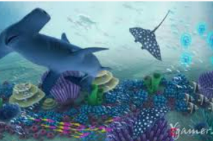 星空综合app正式版