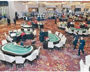 星空综合app2024最新版