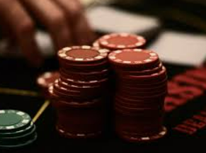 星空综合app2024最新版