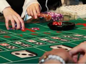 星空综合app2024最新版