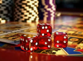 星空综合app2024最新版